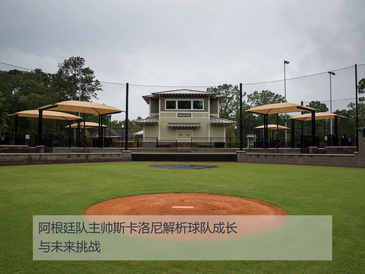 阿根廷队主帅斯卡洛尼解析球队成长与未来挑战